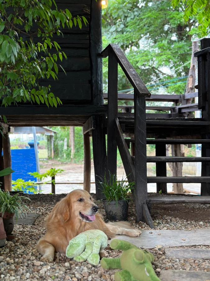 The Legend Homestay. Mae Ai المظهر الخارجي الصورة